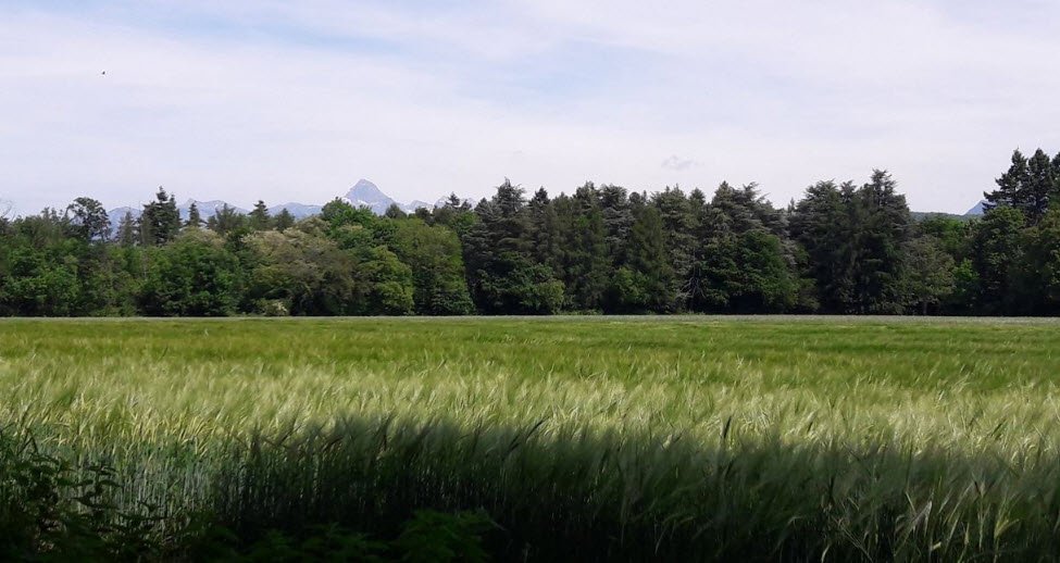 Arboretum de Ripaille, Thonon-les-Bains, France, France